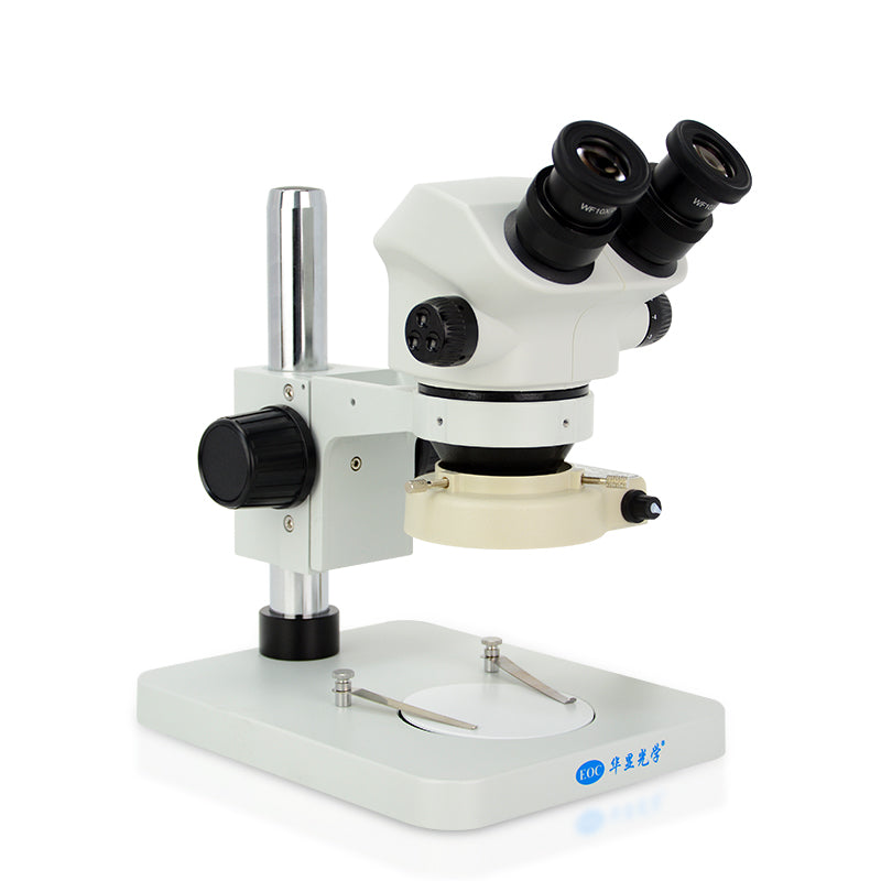 Stereo Microscope