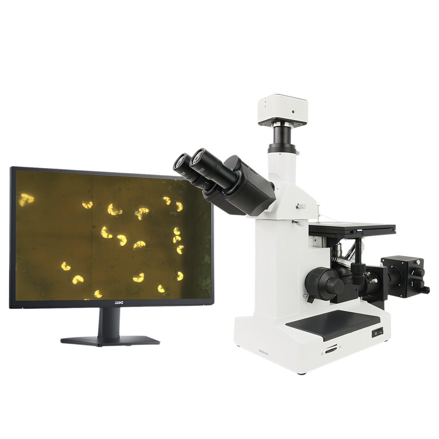 EOC MJ203F Inverted Stereo Trinocular Metallurgical Optical Digital Microscope with 60MP Camera USB3.0 Connection